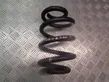 Rear coil spring