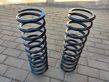 Rear coil spring