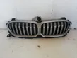 Front bumper upper radiator grill