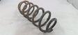 Rear coil spring