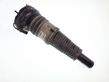 Front shock absorber/damper