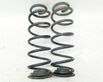 Rear coil spring