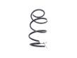 Front coil spring