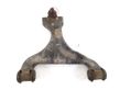 Front lower control arm/wishbone