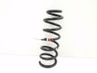 Front coil spring