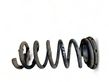 Rear coil spring