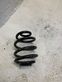 Rear coil spring