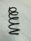 Front coil spring