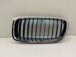 Front bumper upper radiator grill