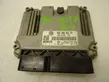 Engine control unit/module ECU