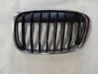 Front bumper upper radiator grill