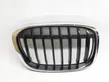 Front bumper upper radiator grill