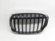 Front bumper upper radiator grill