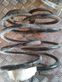 Rear coil spring