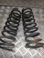 Rear coil spring