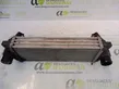 Radiatore intercooler