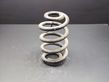 Front coil spring