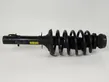 Front shock absorber/damper