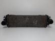 Intercooler radiator