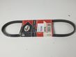 Alternator belt