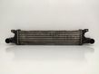 Intercooler radiator