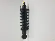 Rear shock absorber with coil spring