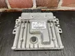 Engine control unit/module ECU