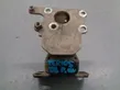 Engine mount vacuum valve