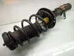 Front shock absorber with coil spring