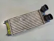 Intercooler radiator