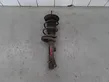 Front shock absorber with coil spring