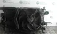 Electric radiator cooling fan