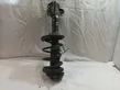 Front shock absorber with coil spring