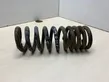 Rear coil spring