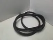 Trunk rubber seal (body)