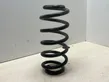 Front coil spring