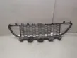 Front bumper lower grill