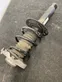 Front shock absorber with coil spring