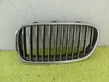 Front bumper upper radiator grill