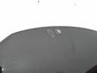Motorhaube