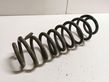 Rear coil spring