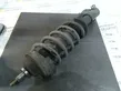 Front shock absorber with coil spring