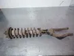 Front shock absorber with coil spring