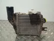 Radiador intercooler