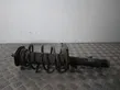 Front shock absorber with coil spring