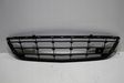 Front bumper lower grill