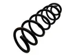 Rear coil spring