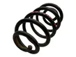 Rear coil spring