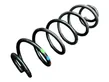 Front coil spring