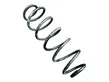 Front coil spring